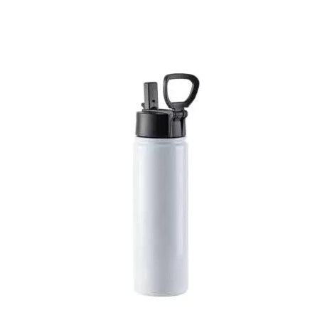 Customized 22oz Stainless Steel Flask