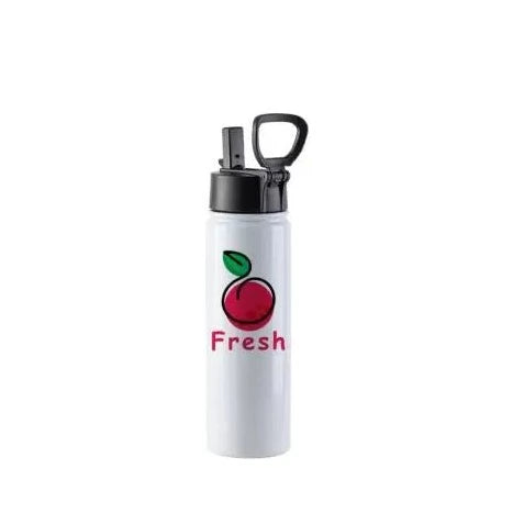 Customized 22oz Stainless Steel Flask
